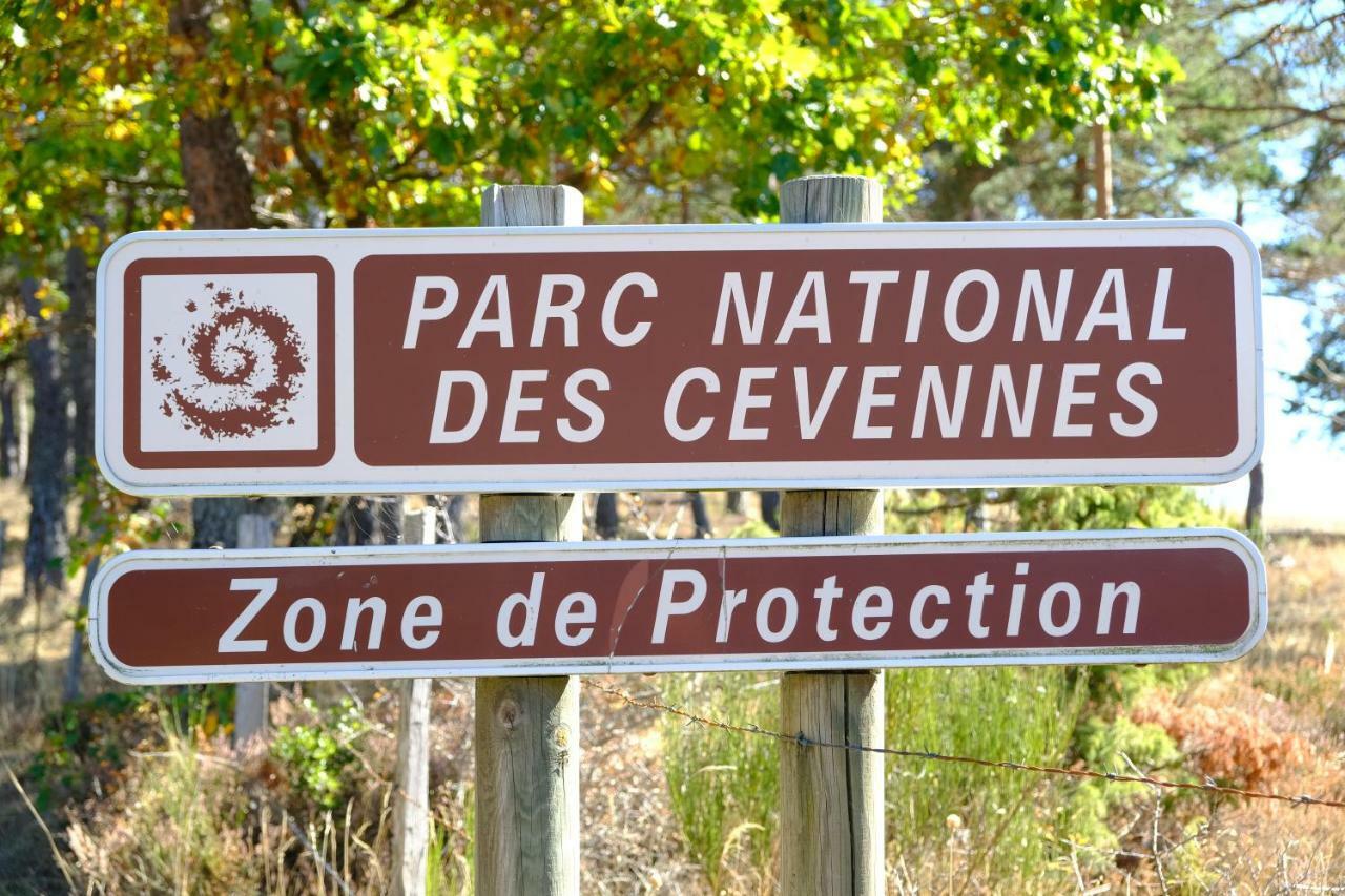 Mas Mialou Lägenhet Saint-Jean-du-Gard Exteriör bild